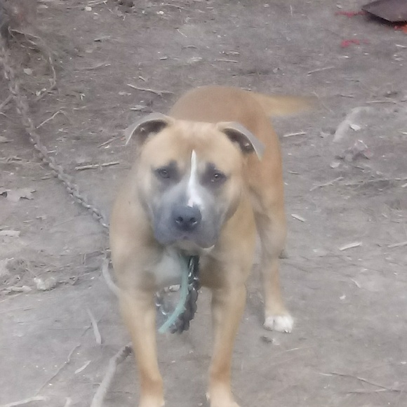 Meet your Posher, William - Picture 1 of 1